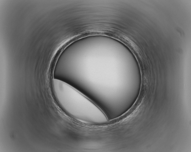 X0000113220779200909100922