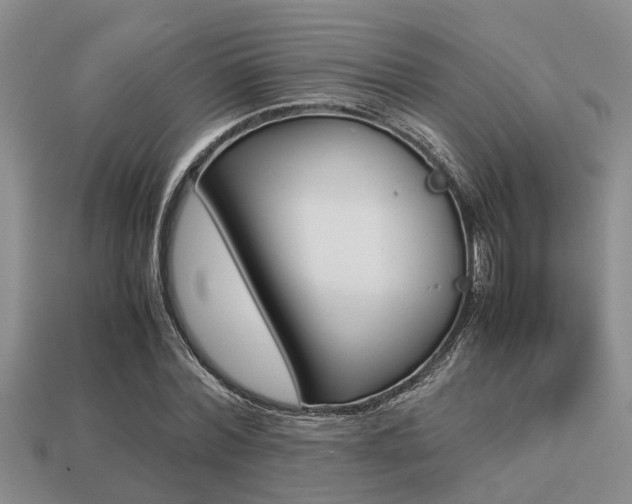 X0000113220780200909100922