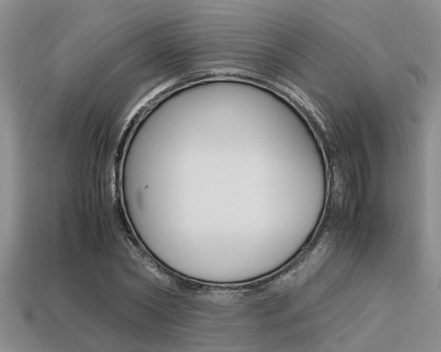 X0000113220782200909100922