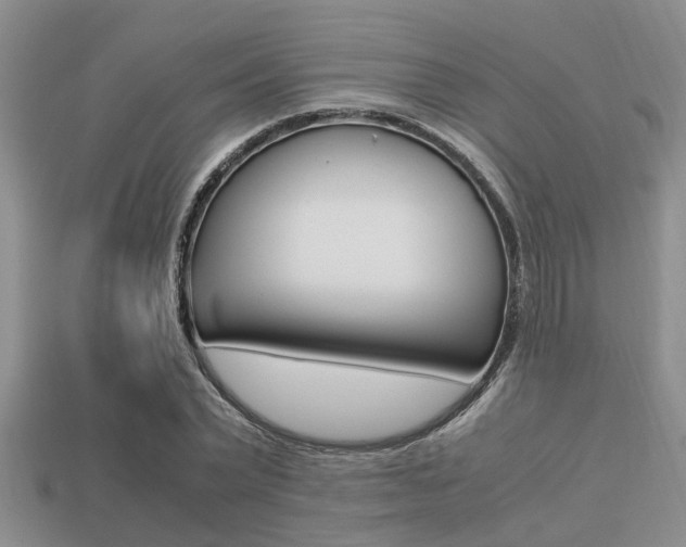 X0000113220783200909100922