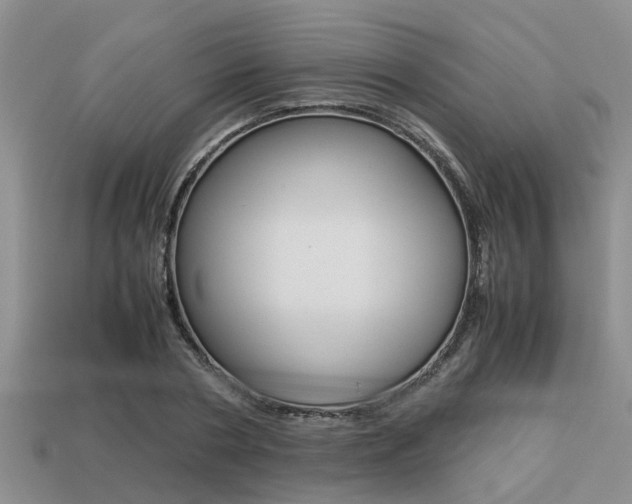 X0000113220786200909100922