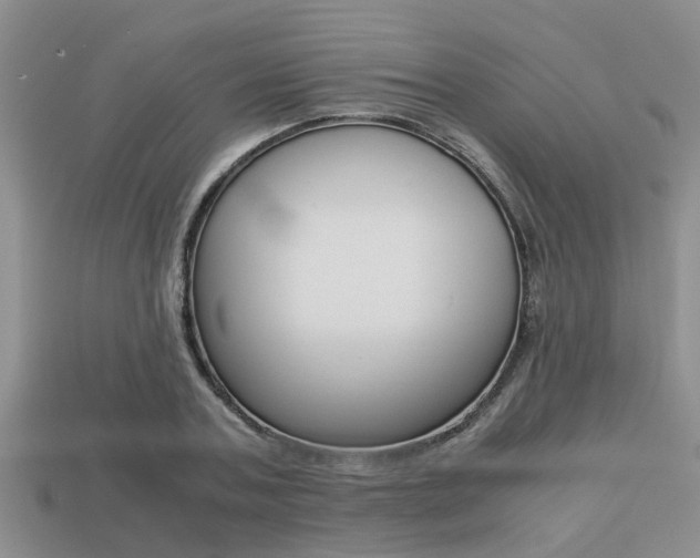 X0000113220787200909100922
