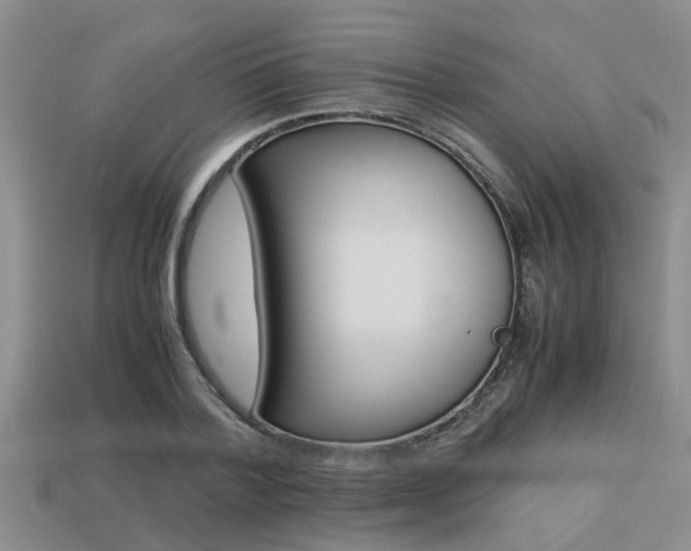X0000113220788200909100922