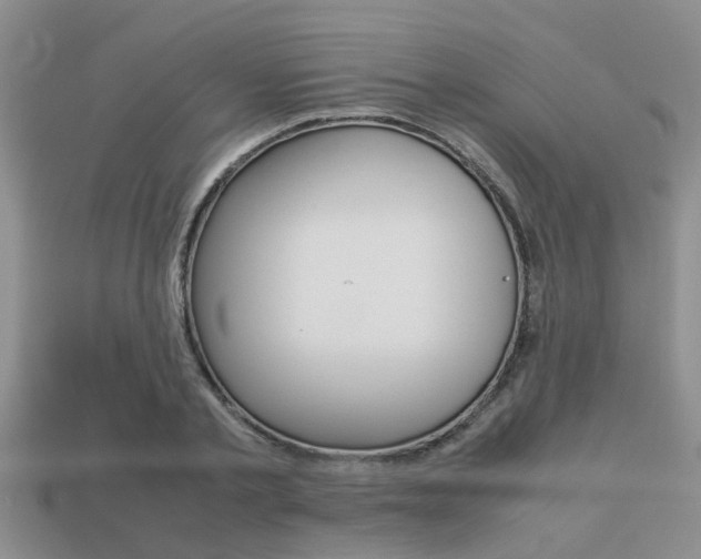 X0000113220789200909100922