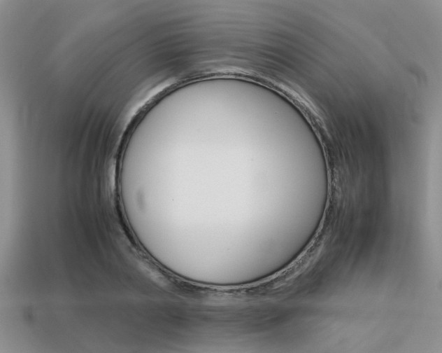 X0000113220790200909100922