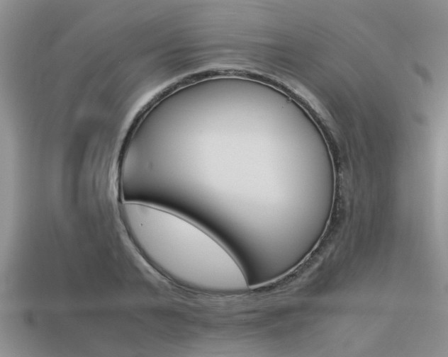 X0000113220791200909100921