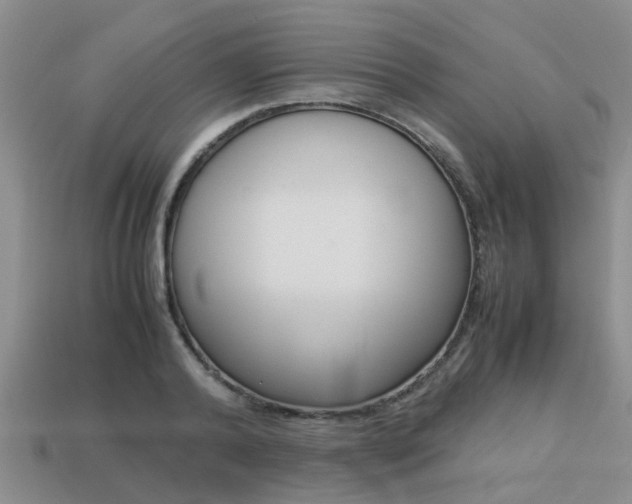 X0000113220792200909100921