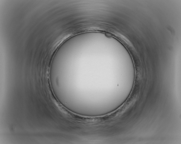 X0000113220793200909100921