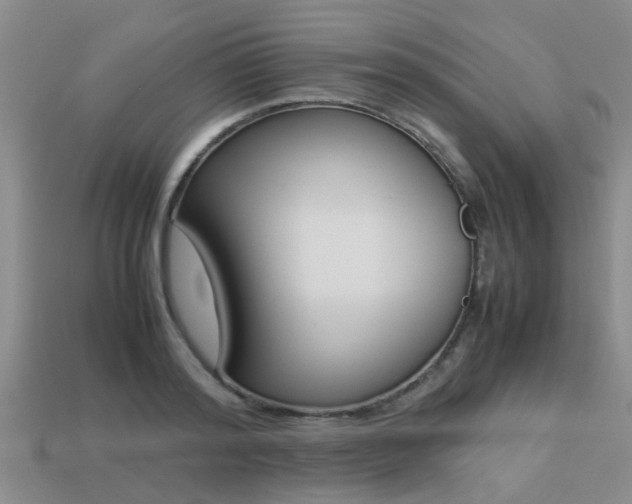 X0000113220796200909100921