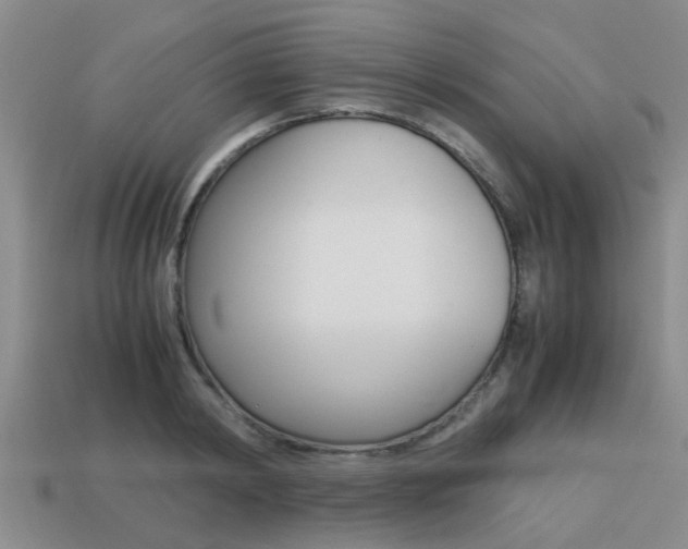 X0000113220798200909100921