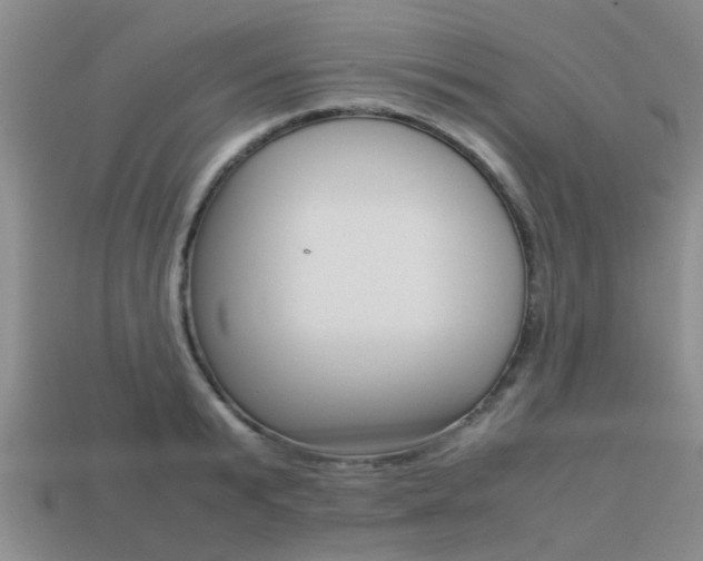 X0000113220799200909100921