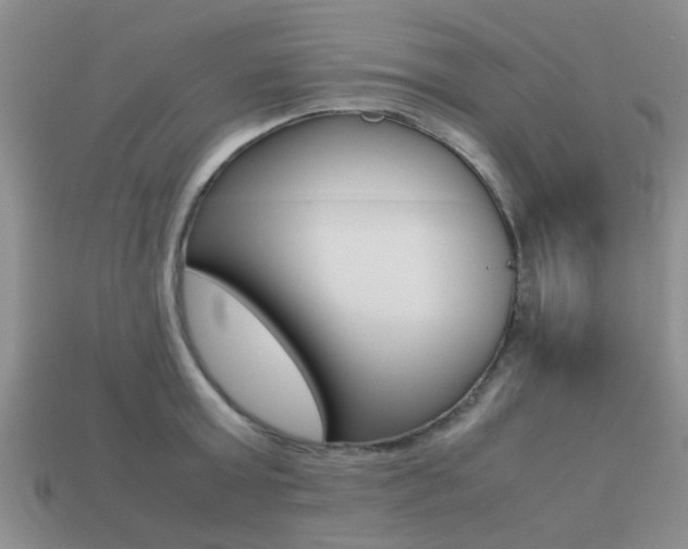 X0000113220803200909100921