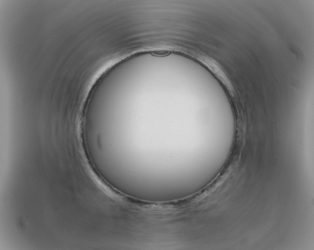 X0000113220805200909100921