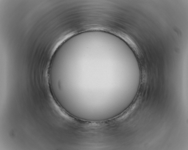 X0000113220806200909100921