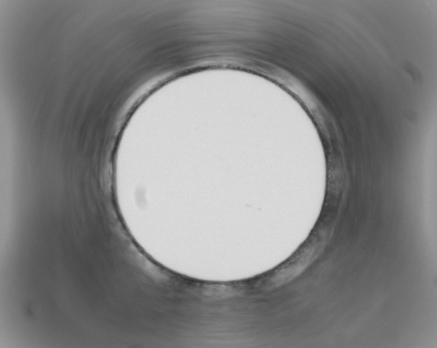 X0000113220807200909100921