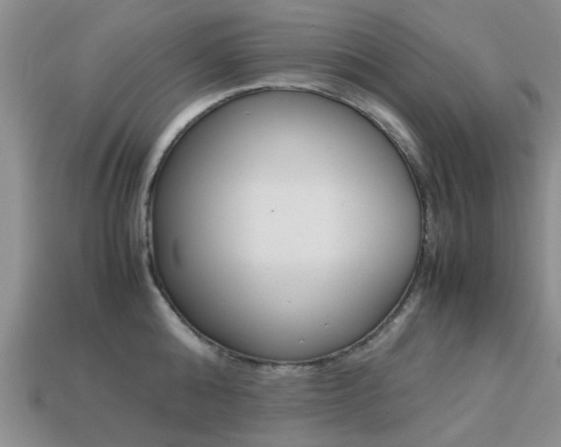 X0000113220808200909100921