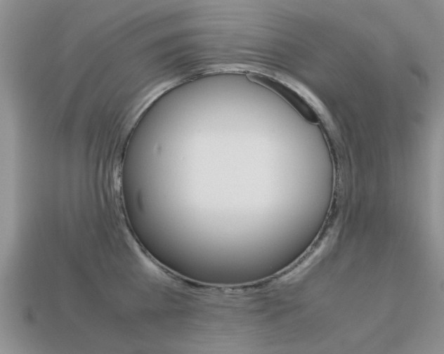 X0000113220809200909100921