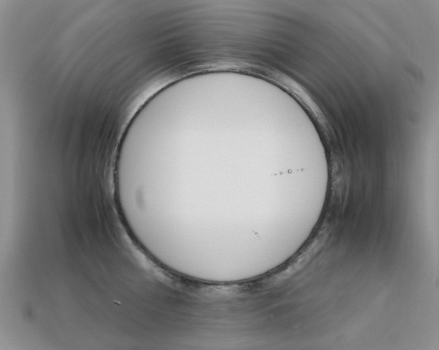 X0000113220810200909100921