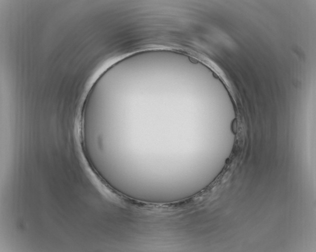 X0000113220811200909100921
