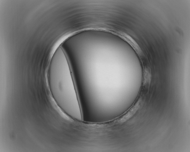 X0000113220812200909100921