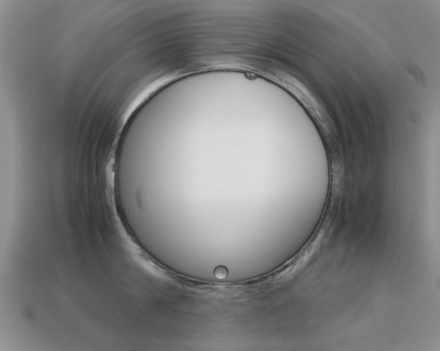 X0000113220814200909100921
