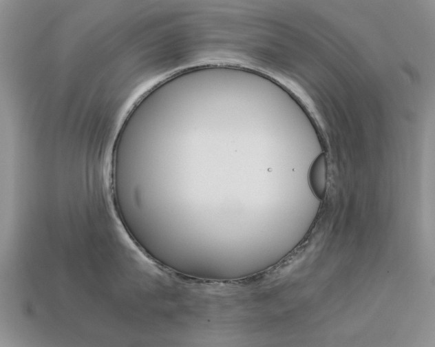 X0000113220815200909100921