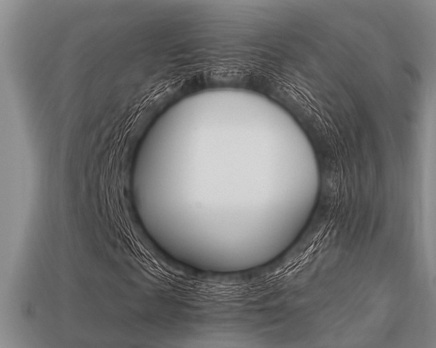 X0000113220817200909100920
