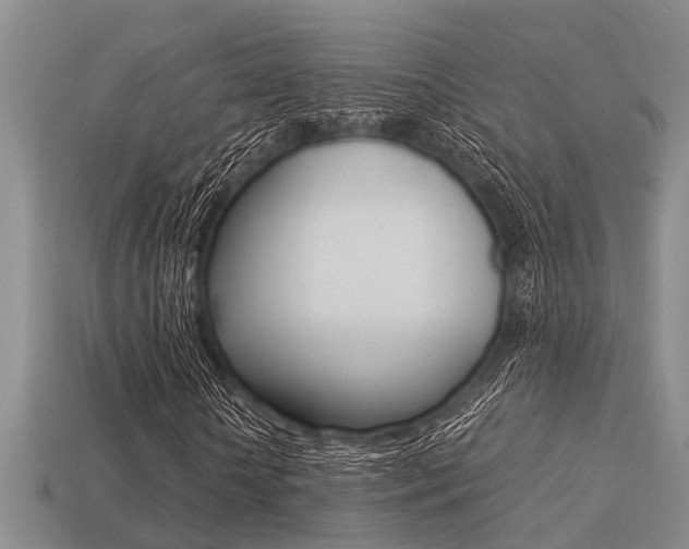 X0000113220818200909100920
