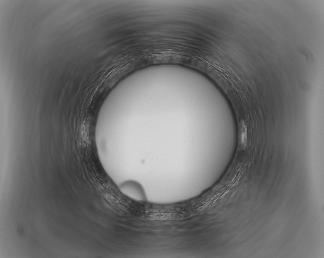 X0000113220819200909100920