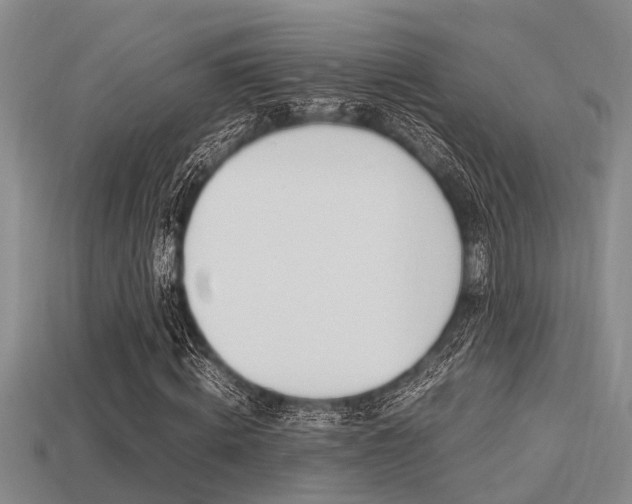 X0000113220820200909100920