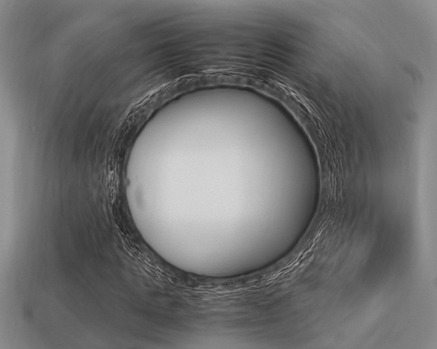 X0000113220821200909100920