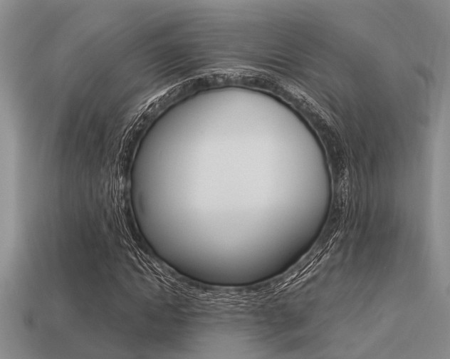 X0000113220822200909100920