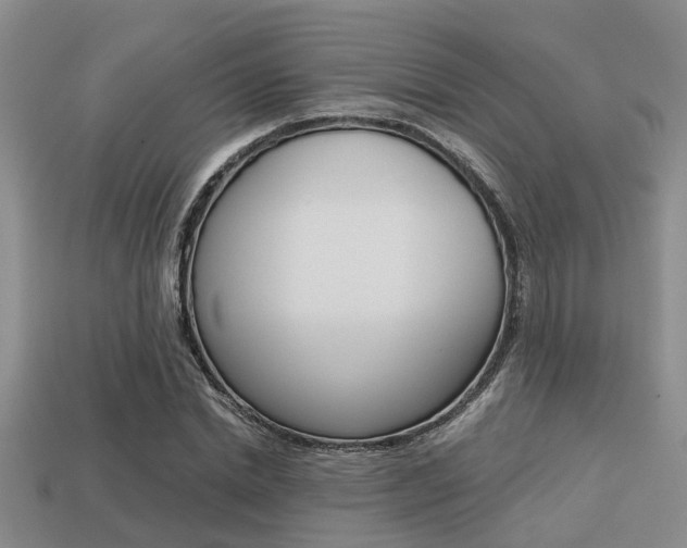 X0000113220830200909100920