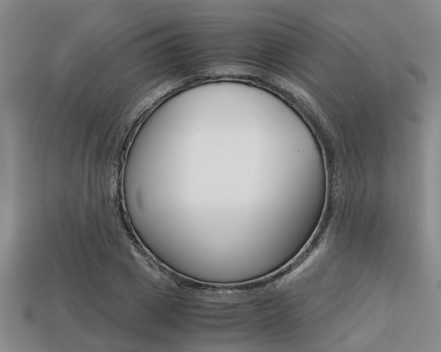 X0000113220833200909100920