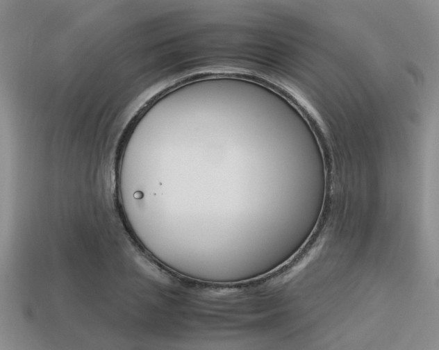 X0000113220837200909100920