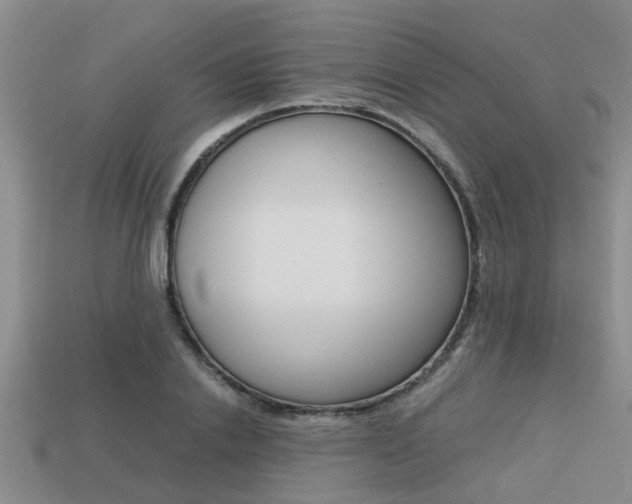 X0000113220838200909100920