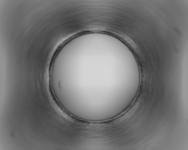 X0000113220840200909100921