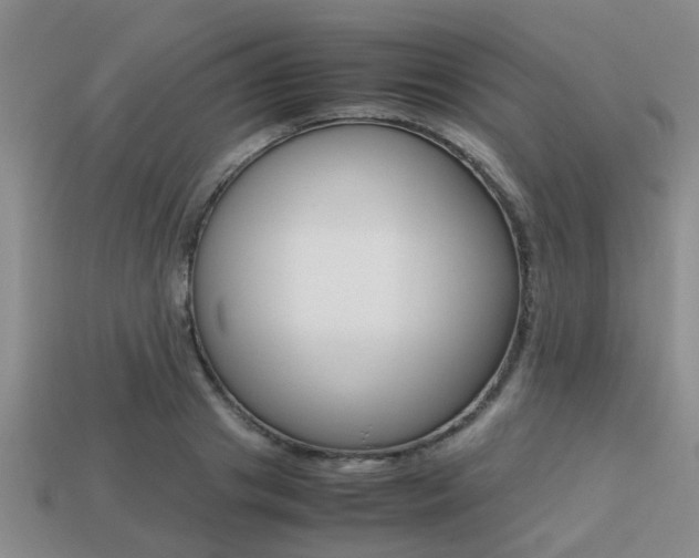 X0000113220841200909100921