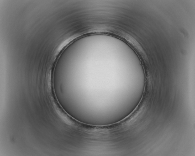 X0000113220842200909100921