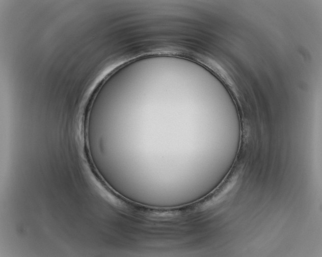 X0000113220843200909100921