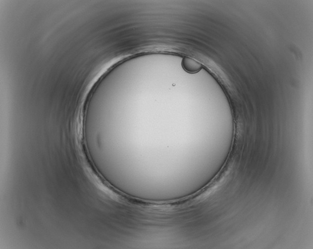 X0000113220844200909100921