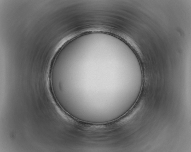 X0000113220845200909100921