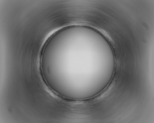 X0000113220846200909100921