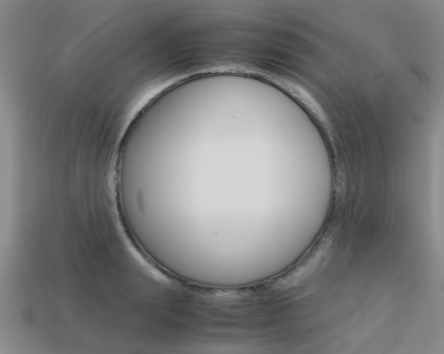 X0000113220847200909100921