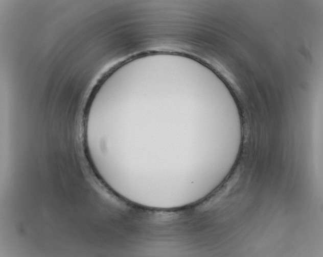 X0000113220848200909100921