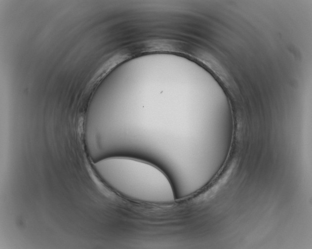 X0000113220849200909100921