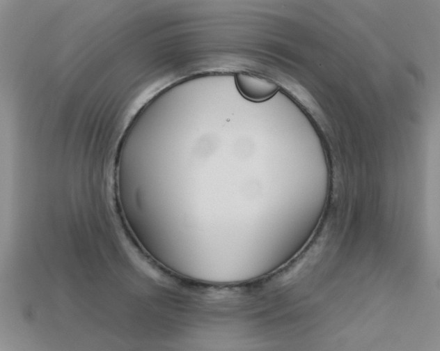 X0000113220850200909100921
