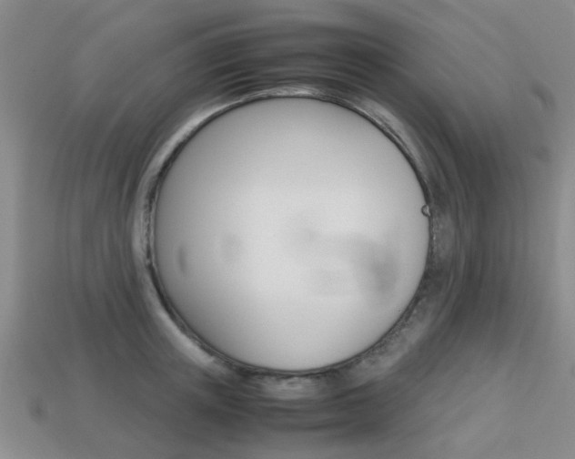 X0000113220851200909100921