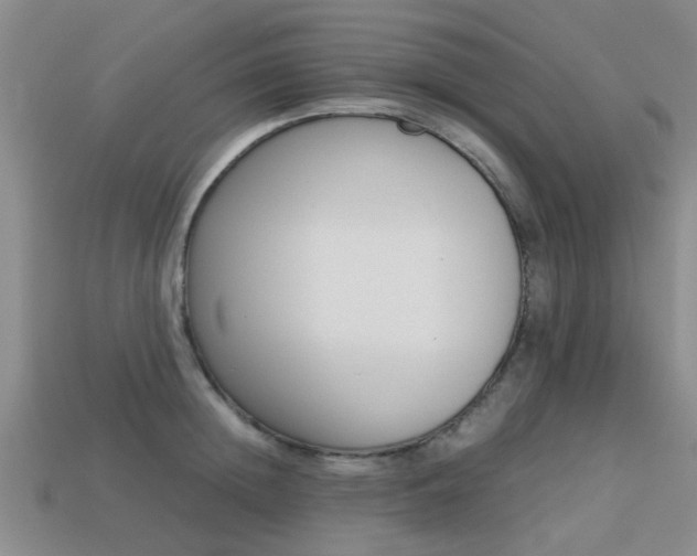 X0000113220852200909100921