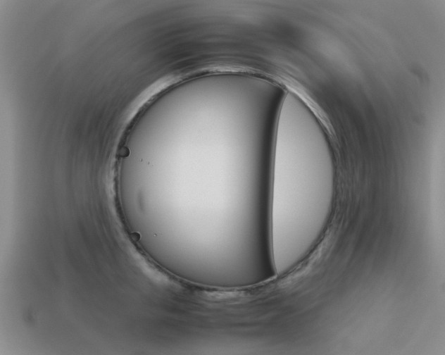 X0000113220853200909100921